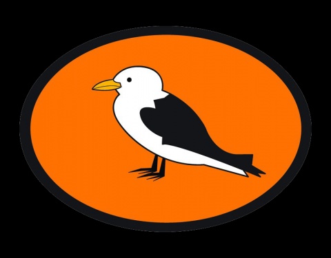 Kittiwake Logo Black Background